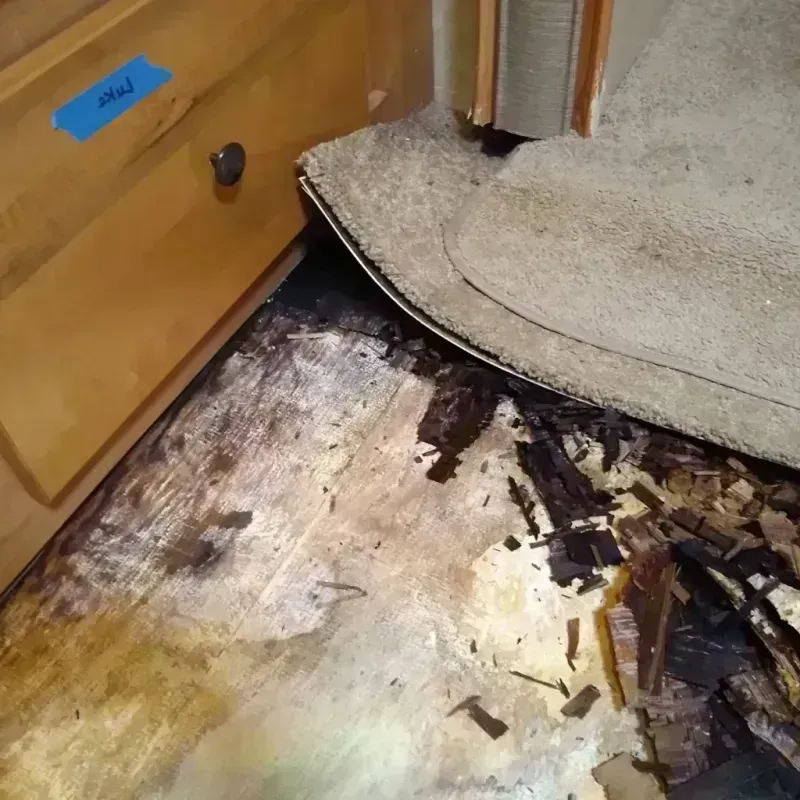 Wood Floor Water Damage in Eureka, KS